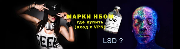 стаф Абаза