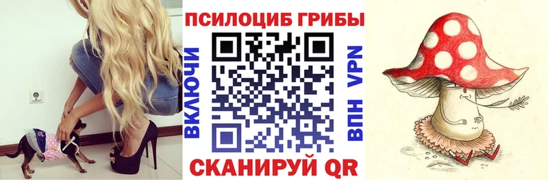 Псилоцибиновые грибы Cubensis  закладка  darknet Telegram  Новотитаровская 